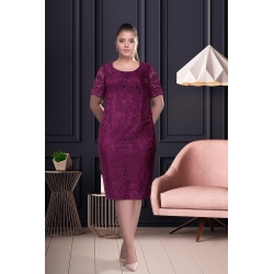 Iulia M81191 