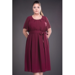 RAISA 81203