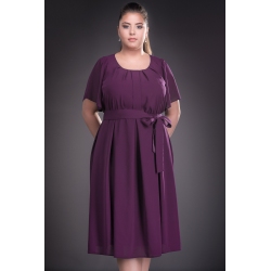 RAISA 81203