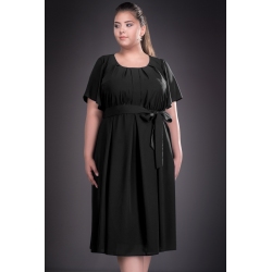 RAISA 81203